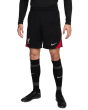 Nike Ανδρικό Σορτς Liverpool FC FN9392-010