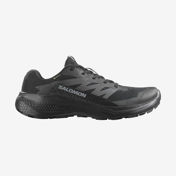 SALOMON ALPHAGLIDE GORE-TEX 478021