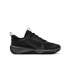 NIKE OMNI MULTI-COURT (GS) DM9027-001