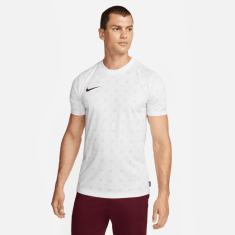 Nike Ανδρικό Κοντομάνικο T-Shirt DRI FIT DQ5055-121