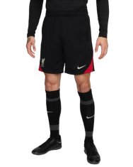 Nike Ανδρικό Σορτς Liverpool FC FN9392-010
