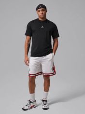 Nike Jordan Ανδρικό Κοντομάνικο T-Shirt Dri-Fit IF0882-010