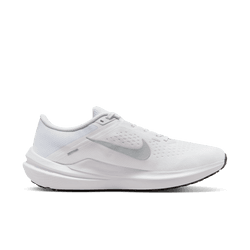 NIKE AIR WINFLO 10 DV4022-102
