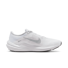 NIKE AIR WINFLO 10 DV4022-102