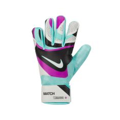 NIKE GK MATCH - HO23 FJ4862-010
