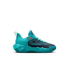 NIKE GIANNIS IMMORTALITY (PS) FZ6733-303
