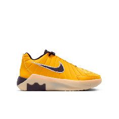 NIKE LEBRON WITNESS jr basket (GS) HV2270-700