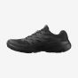 SALOMON ALPHAGLIDE GORE-TEX 478021