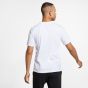Nike Ανδρικό Κοντομάνικο T-Shirt AR5004-101
