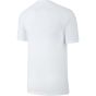 Nike Ανδρικό Κοντομάνικο T-Shirt AR5006-100