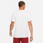 Nike Ανδρικό Κοντομάνικο T-Shirt DRI-FIT DA1594-100