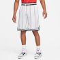 Nike Ανδρικό Σόρτς - Βερμούδα (Dri-FIT) Μόδα-Μπάσκετ DQ6087-121