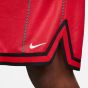 Nike Ανδρικό Σόρτς - Βερμούδα (Dri-FIT)Μόδα-Μπάσκετ DQ6087-657