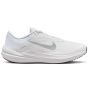Nike Winflo 10  DV4022-102