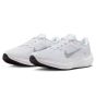 Nike Winflo 10  DV4022-102