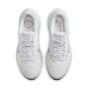 Nike Winflo 10  DV4022-102