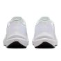 Nike Winflo 10  DV4022-102