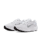 NIKE AIR WINFLO 10 DV4022-102