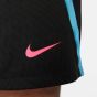 Nike Ανδρική Βερμούδα - Σόρτς Ποδ/ρου Μοδας DRI-FIT DV9276-013