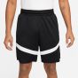 NIKE M NK DF ICON 8IN SHORT DV9524-010