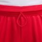 Nike Βερμούδα-Μπάσκετ-Μόδα ICON 8IN SHORT DV9524-658