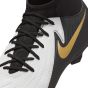 NIKE PHANTOM LUNA 2 ACADEMY FG/MG FD6725-100