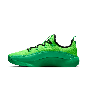 NIKE LEBRON TR 1 FJ6151-300