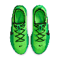 NIKE LEBRON TR 1 FJ6151-300