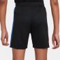 Nike Ανδρική Βερμούδα-Σορτς Dri-FIT FCB FN9185-010