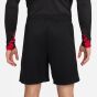 Nike Ανδρικό Σορτς Liverpool FC FN9392-010