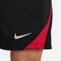 Nike Ανδρικό Σορτς Liverpool FC FN9392-010