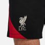 Nike Ανδρικό Σορτς Liverpool FC FN9392-010