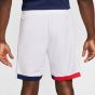 Nike Ανδρική Βερμούδα-Shorts PSG Dri-FIT FZ1536-100