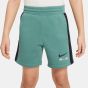 Nike Παιδικό Σόρτς - Βερμούδα HF5520-361