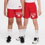 Nike Παιδική Σορτς - Μαγιώ HJ3801-657