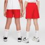 Nike Παιδική Σορτς - Μαγιώ HJ3801-657