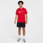 Nike Ανδρικό Κοντομάνικο T-Shirt HQ8092-657