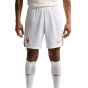 Nike France Men's DRI-FIT Shorts IB4847-100
