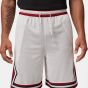 Nike Jordan Men's Basketball Shorts DRI-FIT IF5832-100