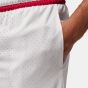 Nike Jordan Men's Basketball Shorts DRI-FIT IF5832-100