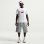 Nike Ανδρικό Κοντομάνικο T-Shirt IQ0471-100