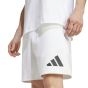 Adidas Ανδρική Βερμούδα-Σορτς JJ4893