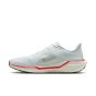 NIKE ZOOM PEGASUS 41 FD2722-115