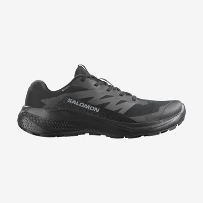 SALOMON ALPHAGLIDE ΑΔΙΑΒΡΟΧΟ GORE-TEX 478021