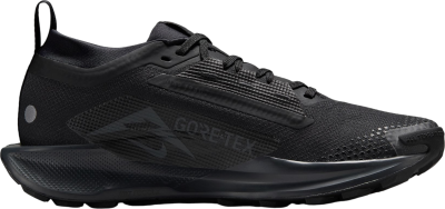 NIKE W PEGASUS 5 GORE-TEX ΑΔΙΑΒΡΟΧΟ  FQ0912-002