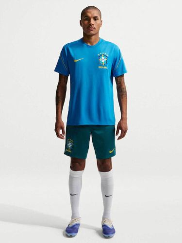 Nike Brasil Ανδρική Βερμούδα-Σορτς Dri-Fit IB5916-381