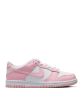 NIKE DUNK LOW (GS) FB9109-125
