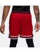 Nike Jordan Men's Basketball Shorts DRI-FIT HF9910-687
