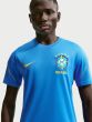 Nike Brasil Men's Short Sleeve Dri-Fit T-Shirt IB4964-435