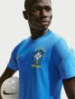 Nike Brasil Men's Short Sleeve Dri-Fit T-Shirt IB4964-435